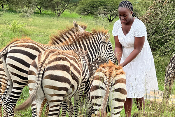 Luxury Safari Experience